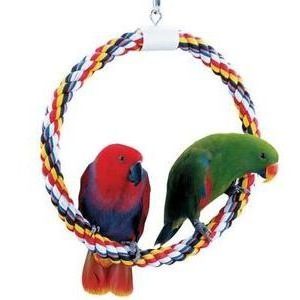 JW Pet Swing N Perch Bird Toy - Buddy's A Pet's Store